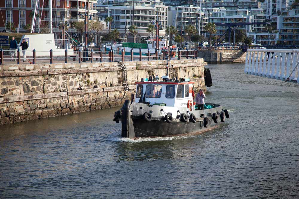 White and turquoise tugboat navigating Cape Town harbour waterfront with modern residential buildings in background